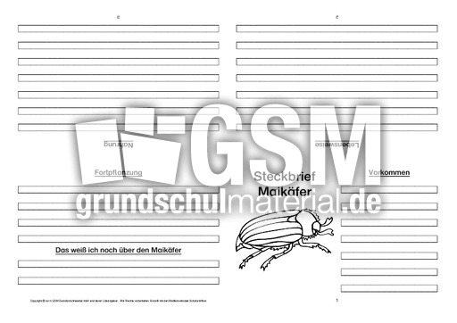 Maikäfer-Faltbuch-vierseitig.pdf